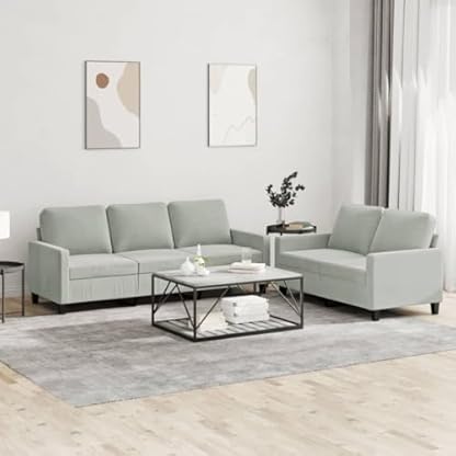 2-TLG. Sofagarnitur mit Kissen Hellgrau Samt,Komfortables Samtsofa für Wohnbereich und Entspannung 2er & 3er Sofa Wohnzimmer, Sofas