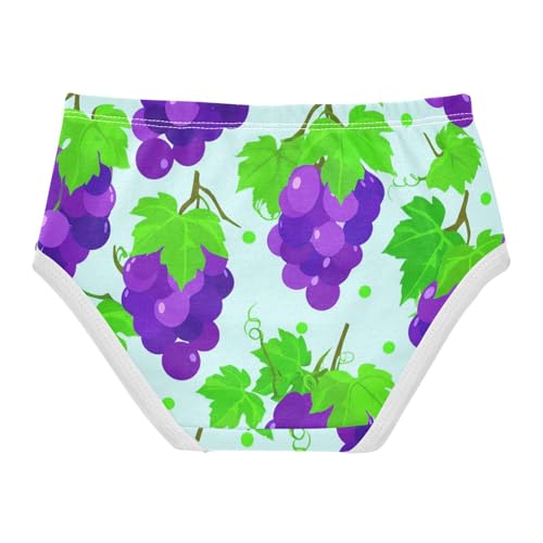 Purple Grape Green Leaves Pastel Toddler Underwear Custom 2t Cotton Little Girl Panties Florals Kids Briefs Undies2
