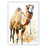 Druck-Palast Kamel Tierposter - 50x70cm - Kunstdruck Poster 