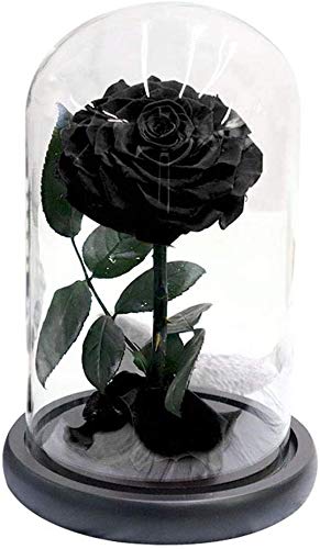 Handmade Preserved Red Rose Forever Never Withered Flowers,Valentine's Gift for Wedding,Anniversary,Birthday, Mother's Day Gift, Best Gift for Her Rose Red (Black)