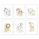Stickerbrand Nursery Safari Animal Posters (set of 6) 8x10 Prints. Unframed. Great gifts for Baby shower, Kids Bedroom or Bathroom Decor. Baby Elephant, Giraffe, Hippo, Lion, Tiger and Zebra #P1005