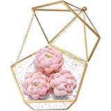 ❤【MULTIPROPÓSITO】: Caja de vidrio transparente multipropósito, adecuada para organizar anillos, aretes, pequeñas joyas, collares, baratijas, flores preservadas, piedras de colección, etc. decoración de otras ocasiones.