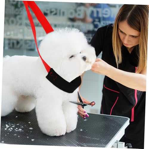 Accessoires pour chiens de toilettage avec sangles réglables robustes - 7