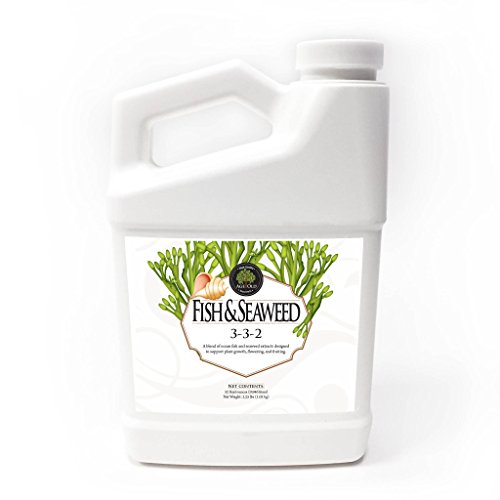 Age Old Fish and Seaweed Liquid Fertilizer, 32-ounce Bottle