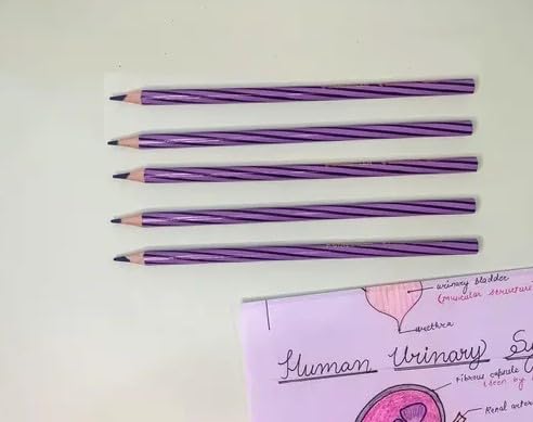 Image of NOZOMI Hematoxylin & Eosin Pencils, h & e prncil for Medical Students - Purple, Ideal for Annotating Histology Slides & Lab Notebooks