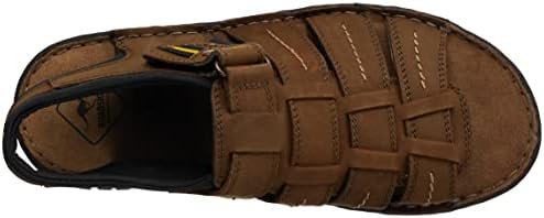 ROADSIGN australia Men's Sneaker, Dark Brown, 43 EU - 2