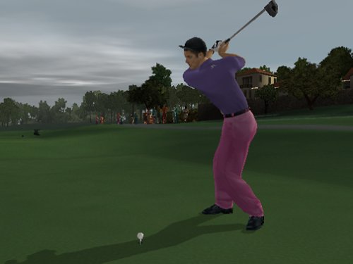 Amazon.co.jp: Tiger Woods PGA Tour 2002 (輸入版) : ゲーム