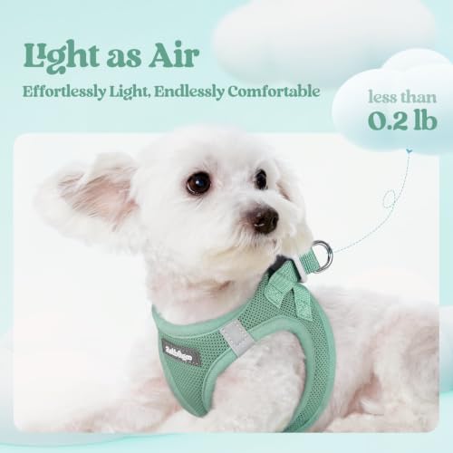 Image of rabbitgoo Dog Harness Small Sized and Leash Set, Step-in Puppy Pet Vest