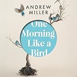 Cover of One Morning Like a Bird