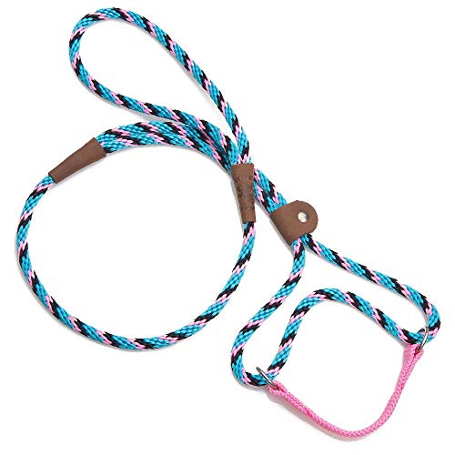 Mendota Pet Dog Walker, Martingale Style Leash - Leash & Collar Combo, Made in The USA - Starbright, 1/2 in x 4 ft - for Large Breeds