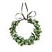 Yili Maizi Artificial Green Leaf Crown Eucalyptus Flower Wreath Women Girls Bohemian Headpiece Floral Headband Photo Prop