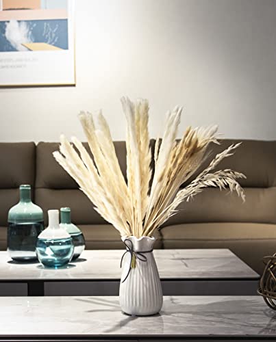Natural Dried Pampas Grass, 65 Pcs Pampas Grass Decor, White & Natural Pampas Grass, Dried , Bunny Tails Wheatear and Oats for Wedding Kitchen Yard Home Decor, Boho Pampas Grass/ Home Life