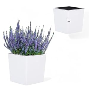 MELTOM Pflanzkübel Weiß Eckig (L)