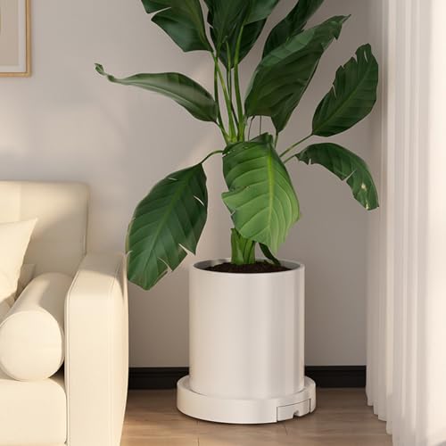 Bac de récupération d'eau pour sublimer vos plantes de salon - 2