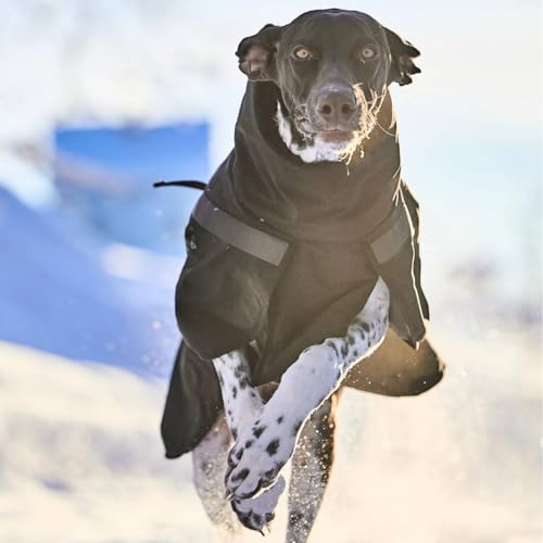 Non-stop dogwear Isolierte Trekkingjacke – Schwarz – 30