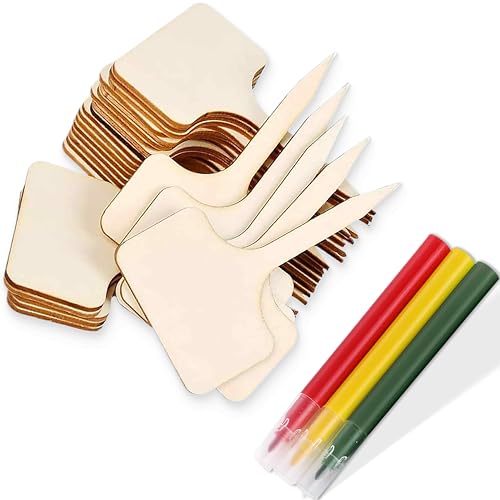 PEVRUAY 50 Piezas Etiquetas Plantas de Bambú, Signos Plantas Marcadores Jardín, Maceta Marcadores Etiquetas, para Marcar Crecimiento de Plantas, Distinguir Plantas