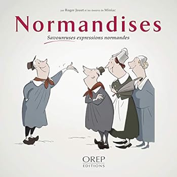 Paperback NORMANDISES - Savoureuses expressions normandes [French] Book