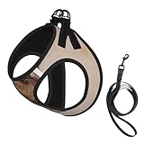 Jack Russell Terrier Dog No Pull Dog Harness and Leash Set, Cute Reflective Adjustable Vest for Small Dogs,Breathable Mesh Puppy Harness for Walking Hiking,Medium