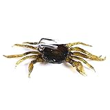 señuelo imitacion cangrejo Prácticos accesorios de pesca: Hay medidas de 10cm, que son accesorios de pesca muy prácticos. Son ideales para principiantes y pescadores experimentados, y son regalos ideales para pescadores.