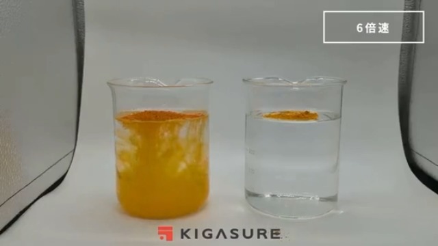 Amazon | 【TVで紹介】KIGASURE 高吸収型 クルクミン サプリメント 62