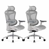 SIHOO Doro C300 Sedia da ufficio ergonomica con braccioli ultra morbidi in 3D, supporto lombare dinamico per sedia da ufficio domestica, poltrona da ufficio con schienale regolabile (grigio) - 2 pezzi