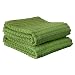 Ritz Royale Collection 100% Combed Terry Cotton, Highly Absorbent, Oversized, Kitchen Towel Set, 28" x 18", 2-Pack, Solid Cactus Green