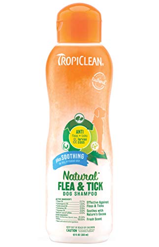 best flea shampoo uk