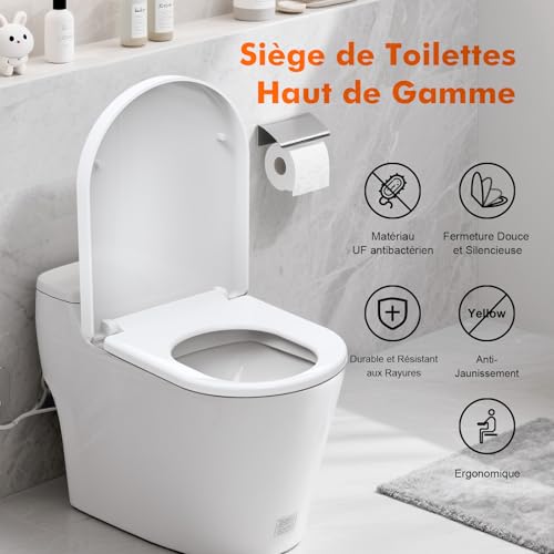 Abattant WC D Forme à Frein de Chute Ibergrif