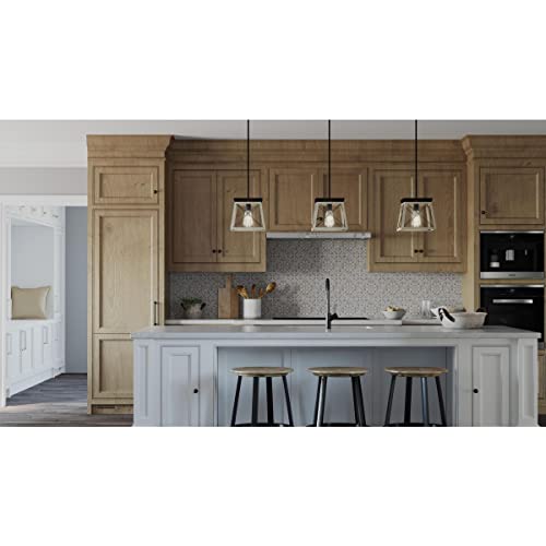 Image of Progress Lighting Briarwood Collection 1-Light Coastal Mini-Pendant Light Graphite, Black