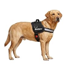 Dog Harness, No-Pull, 3 Leash Clips, No Choke, Reflective, Adjustable and Padded, for Easy Walking and Training for Small, Medium and Large Dogs Black, L