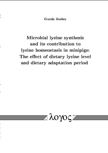  Microbial lysine synthesis and its contribution to lysine homeostasis in minipigs: The effect of dietary lysine level and dietary adaptation period