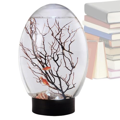 Poisson Betta | Petit aquarium avec lumière LED | Paysage de bureau portable, modèle d'aquaponie amusant pour maison, étude, hôtel