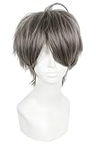 Nuoqi Mens Anime Sugawara Koushi Short Grey Black Fluffy Cosplay Wigs JF532