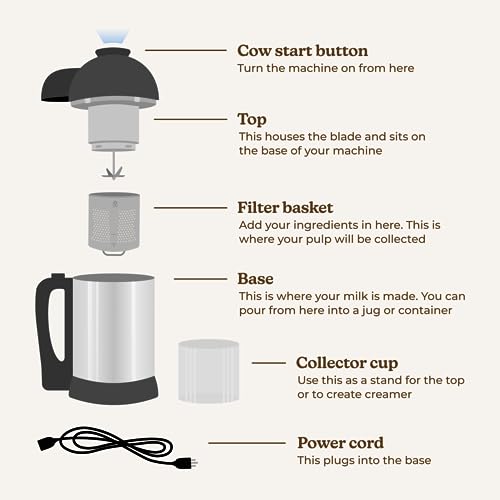 Almond Cow Nut Milk Maker Machine, Plant-Based Milk Maker for Almond, Oat, Cashew, Soy Milk, Stainless Steel, No Straining Needed - Makes 5-6 Cups, 120V