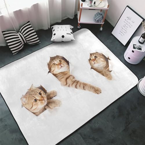 猫柄 ラグ」の人気商品一覧 | 安い商品を通販サイトから探す - 価格.com