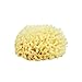 Neptune Natural Sea Wool Sponge - All Natural Honeycomb Renewable Sea Sponge, Medium, Approx. 4 Inches