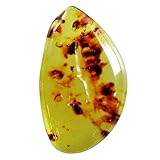 Ravishing Impressions