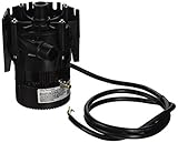 Laing E10-NSHN1W-19 Spa Circulation Pump