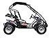 Trailmaster Blazer i200R (! Electic !) Go Kart Youth Go Kart. Ages 10 and up, Mid Size Kids cart, Body Kit with Reverse. (Red)