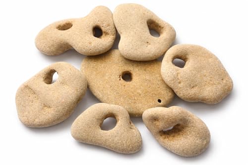 Big Natural Hag Stones, 7 Different Shapes Protection Stones, Witch Hagstones, Decoration or Craft Supplies, Raw Sea stones with Nature Made Hole - Odin Stone -Fairy Stone -Adder stone - 2-3 inch size