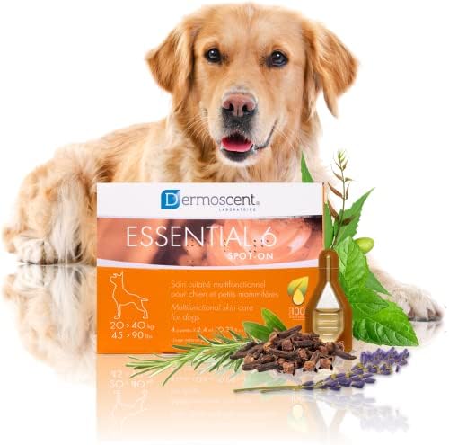 Dermoscent Essential 6 spot-on - Dog Skin Care for Dandruff & Allergy Relief with Vitamin E Oil - Anti Itch for Dogs - Natural Ingredients for Sensitive Skin - Dogs 20-40 kg - 4 Pipettes of 2.4 ml