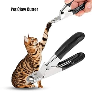 Petdogcatdedicatednailscissorstoeclawshearclipperstrimmercutterblackdogclawcaredogcatpetsnailclippersandtrimmersprofessionalgroomingtoolforpets  Cucciolini Doodles   cucciolini doodles