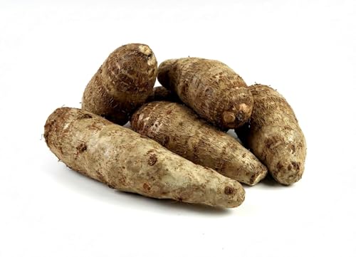 Fresh Malanga Root,Yautía Blanca. Premium Quality, Ideal for Soups, Stews and Mashing 5 Pounds