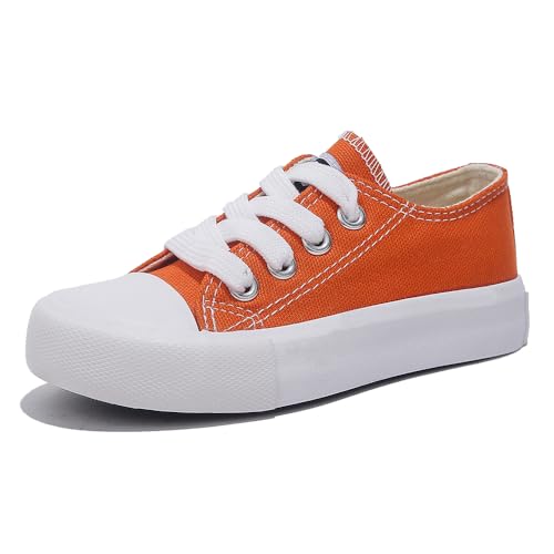 Girls and Boys Low Top Comfortable Canvas Kids Lace up Sneakers