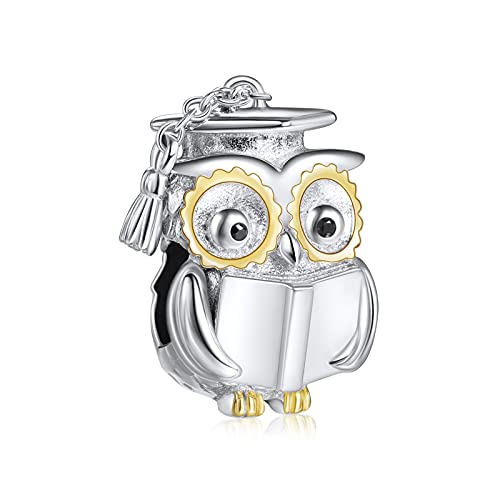 NINGAN Owl Doctor Hat Charm for Bracelet 925 Sterling Silver Bead Charms with Cubic Birthday Anniver