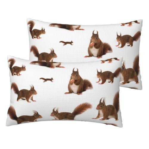 Housses de coussin écureuil lin | Rénovez votre canapé