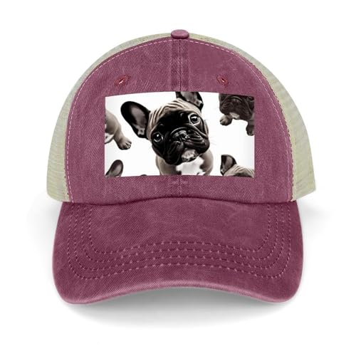 Casquette de baseball réglable bouledogue français pour éviter les coups de soleil avec style