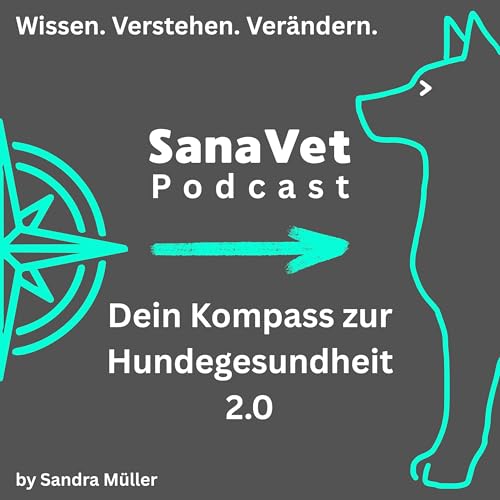 SanaVet Podcast cover art