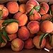 Pearson Farm 13-Count Gift Box of Peaches | Fresh Georgia Peaches