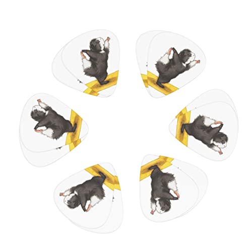 M^[sbN 12 3ނ̌ M^[sbNZbg sbNP[X [{bNXt AR[XeCNM^[ GLM^[ EN }h x[X oW[p Sҗp guitar picki0.46mm0.71mm&0.96mmj bg